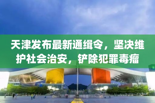 天津發(fā)布最新通緝令，堅決維護社會治安，鏟除犯罪毒瘤